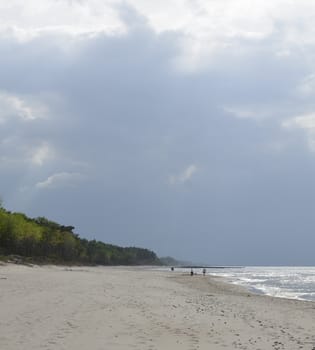 Baltic Landscape with Forest,Beach,Sea and Storm Clouds