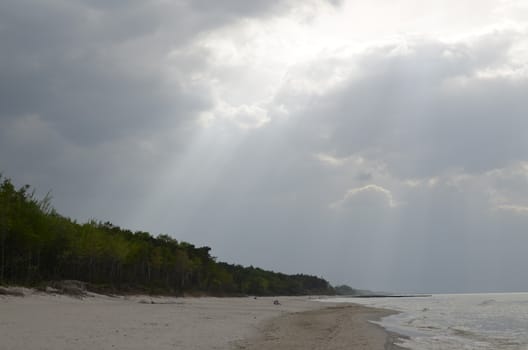 Baltic Landscape with Forest,Beach,Sea and Storm Clouds