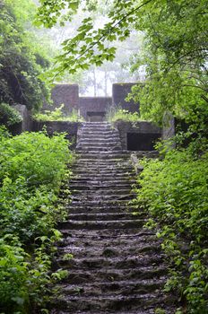 Old Abandoned Bunker in Center of The Forest.