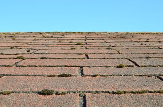 Old Shingle Roof Overgrown With Moss on Blue Sky Background