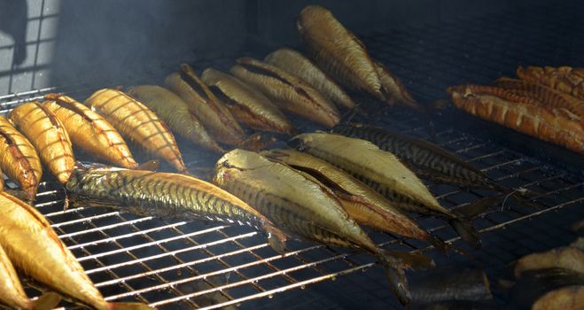 Smoked fish during the process in smokehouse