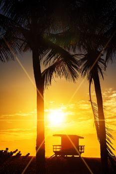 Miami South Beach sunrise with lifeguard tower and palm tree, USA