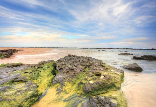 Low tide at the beach exposes moss covered rocks.  A lone surfer in the far distance. NSW Australia