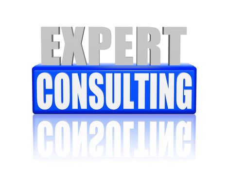 expert consulting - text in 3d blue and white letters and block, business support concept words