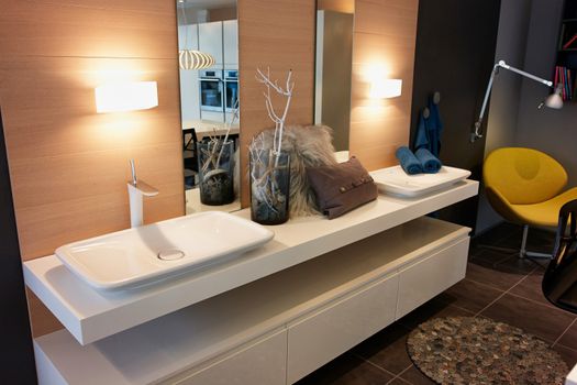 Beautiful Large Modern Trendy Design Bathroom with wooden Elements in Luxury Home                               