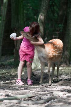 Photo of a young girl feeding sika deer and hugs him