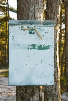 An old worn mailbox in the forest. Vertical image