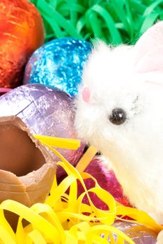 Close-up of a fluffy white bunny eating a chocolate egg amongst a pile of colorful eggs and grasses.