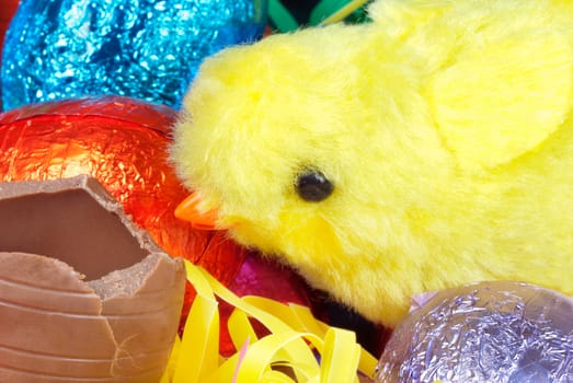 Close-up of a fluffy yellow chick eating a chocolate egg amongst a pile of colorful eggs and grasses.