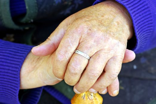Old woman's hand, close up image.