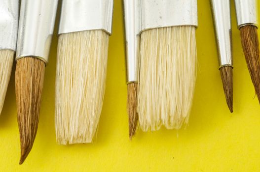 New Wooden Different Paintbrush Set Texture over a Colored Background