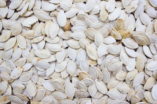 Closeup on toasted pumpkin seeds laying around.