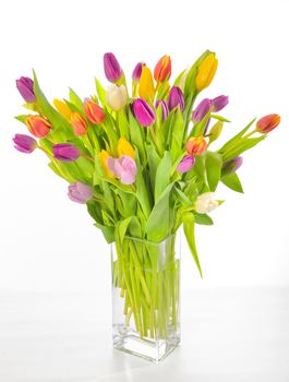 Vase of Tulips isolated on white background