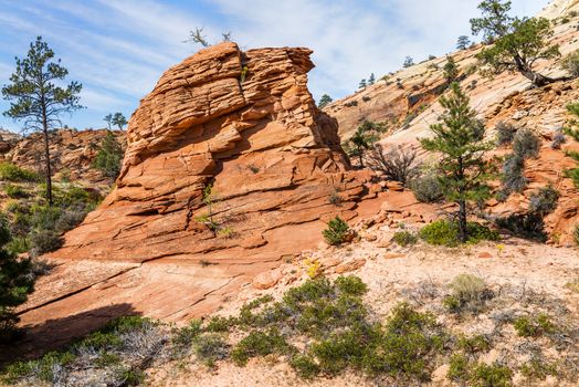 Zion National Park, USA. Scenic multicolored cliffs create an unforgettable landscape 