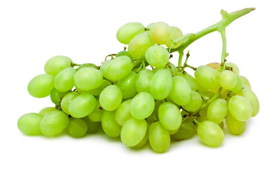 Branch of grapes isolated on white background