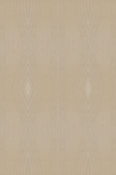 Texture of wood background closeup