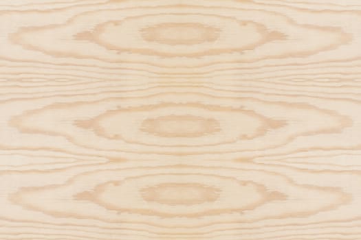 Texture of wood background closeup