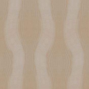 Texture of wood background closeup