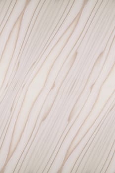 Background of wood texture closeup