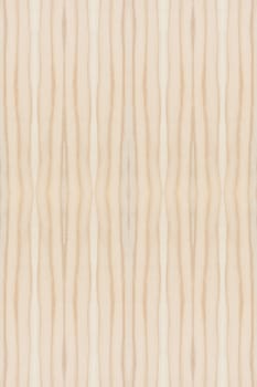 Background of wood texture closeup