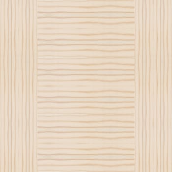Background of wood texture closeup