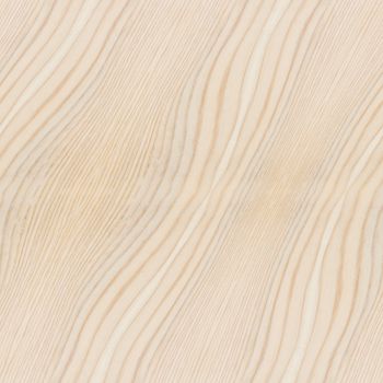 Background of wood texture closeup