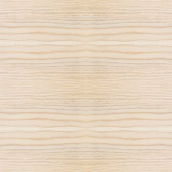 Background of wood texture closeup