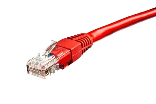 Red network plug isolated on white background 