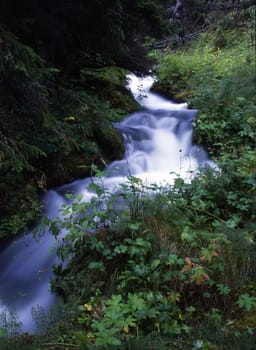 Beautiful Flowing water of mountain stream 