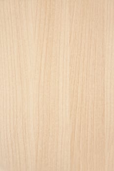 Texture of wood background closeup 