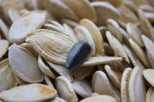 Closeup on toasted pumpkin seeds laying around.