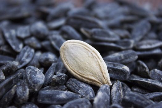 A texture with roasted sunflower seeds.