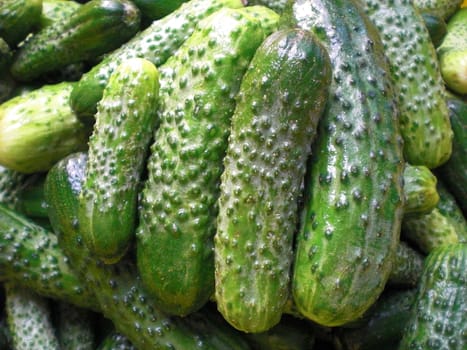 Pickled Cucumbers Background