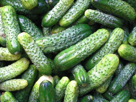 Pickled Cucumbers Background