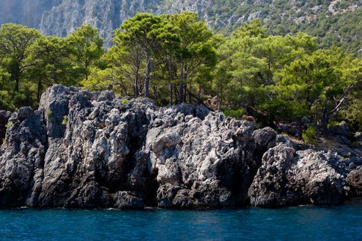 Wooded mountain and sea in Asia Minor
