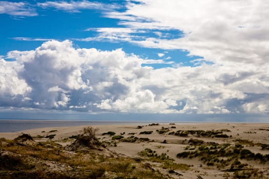 Sand dunes and bushes on Curonian Spit
