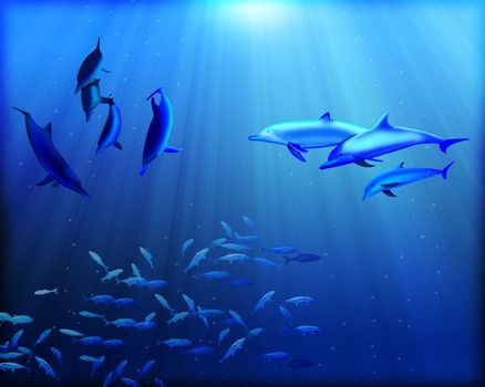 beautiful blue background with a family of dolphins under water and fish stocks