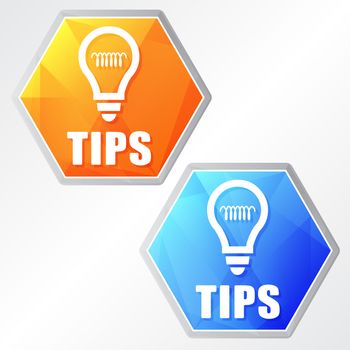 tips and bulb sign, two colors hexagons web icons, flat design, business support concept