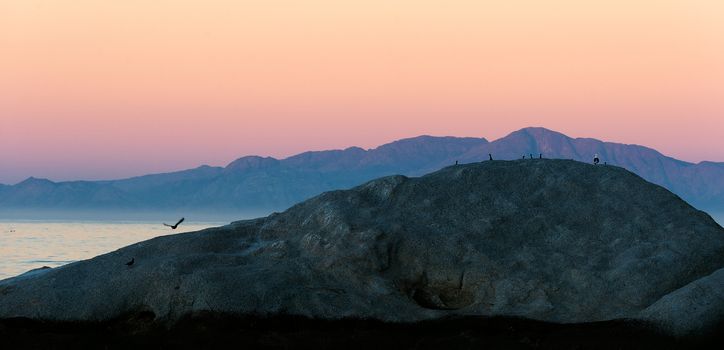 Sunset at rock landscape. Ocean coast with rock formation island silhouette under evening sun. Simons Town. South Africa