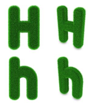 Letter H covered by green grass isolated on white background