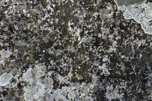 Natural background with a stone and the moss