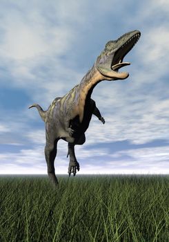 Aucasaurus dinosaur running on the green grass with mouth open by cloudy day