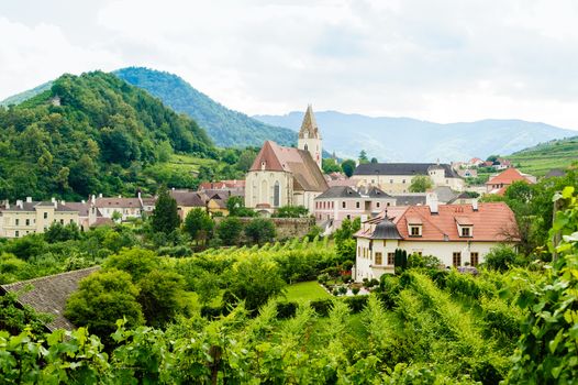 Summer landscape and vineyard in wachau, upper austria