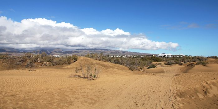 Spain. Canary Islands. Gran Canaria island. Dunes of Maspalomas