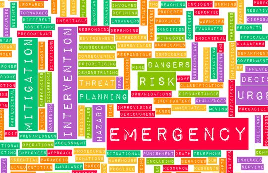 Emergency Planning and Disaster Response as Concept
