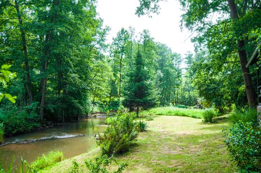 Landscape of River flows through green forest