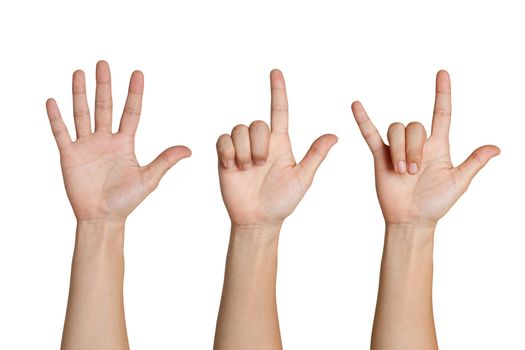 Female hands isolated on white background