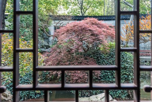 Red-leafed bonsai tree Yuyuan Garden created in the year 1559 by Pan Yunduan in shanghai china