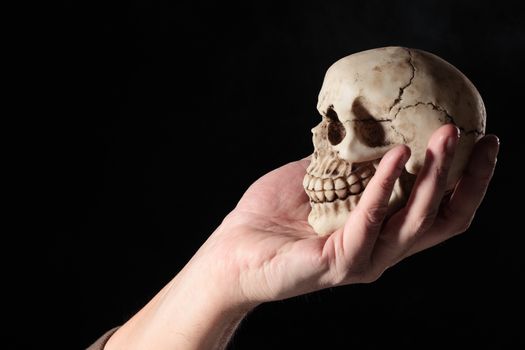 human skull on a human hand