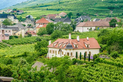 Small Chateau in a Vineyard of Wachau, Lower Austria